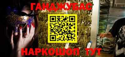 шишки Гай