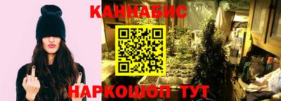 шишки Гай