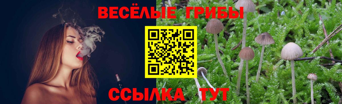 где купить   Псилоцибиновые грибы GOLDEN TEACHER  Дербент  Вход с VPN  Галлюциногенные грибы прущие грибы 